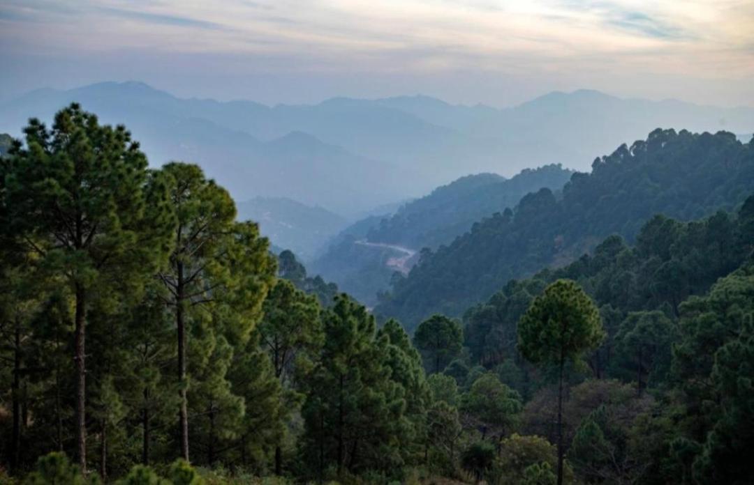 The Kasauli Western Uphills I Serviced Apartments I Pvt Balcony I Peacefull Area I By Exotic Stays Exterior foto